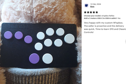 w1spBox Studio | Personalized Leverless Controller for PC & Switch | Pro Fightstick